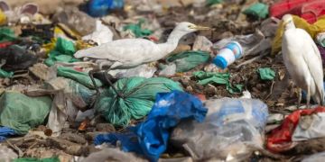 Plastik