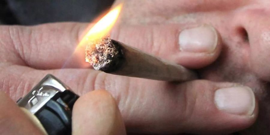 Cannabis als Rauschmittel