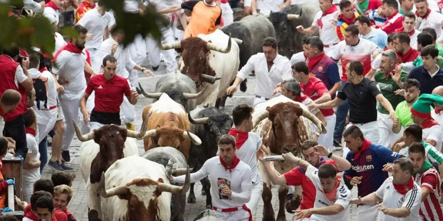 pamplona