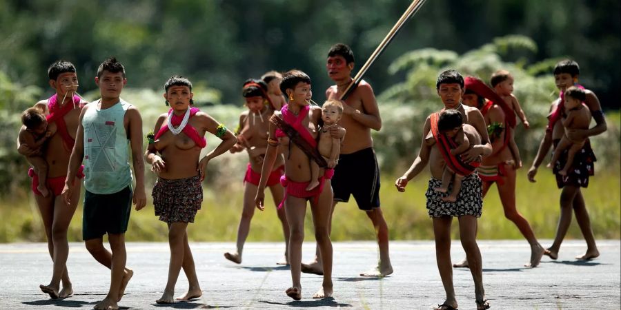 Indigene bevölkerung brasilien