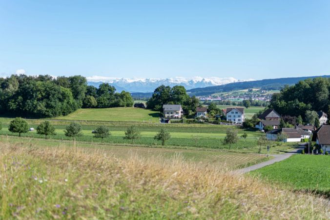 Die Aussicht aus dem Wald heraus.