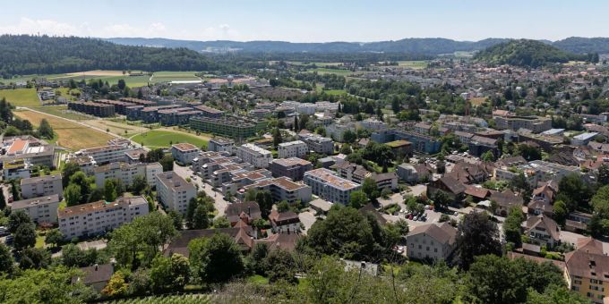 Lenzburg - Stadt Lenzburg will Neophyten verbannen