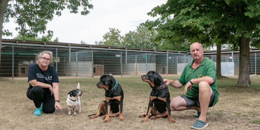 Die Tierheime sind voll und die Anfragen häufen sich. Ilka Dittberner, Tierheimleiterin, und Daniel Heese, Tierpfleger im Tierheim Schwerin, hocken neben Hunden.