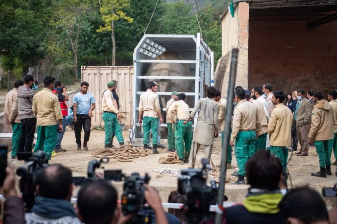 Helfer bereiten den Elefanten Kaavan auf seine Reise nach Kambodscha vor. kaavan