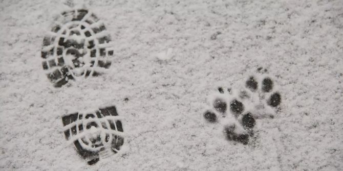 Schnee auf dem Wetter