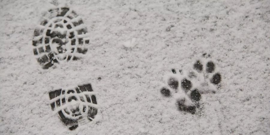 Schnee auf dem Wetter