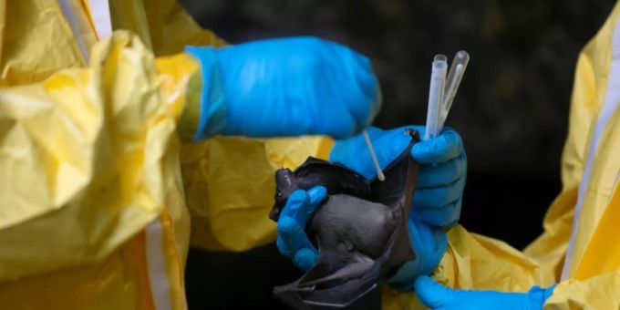 WHO-Mission soll ab Januar Ursprung von Coronavirus untersuchen WHO-Mission soll ab Januar Ursprung von Coronavirus untersuchen
