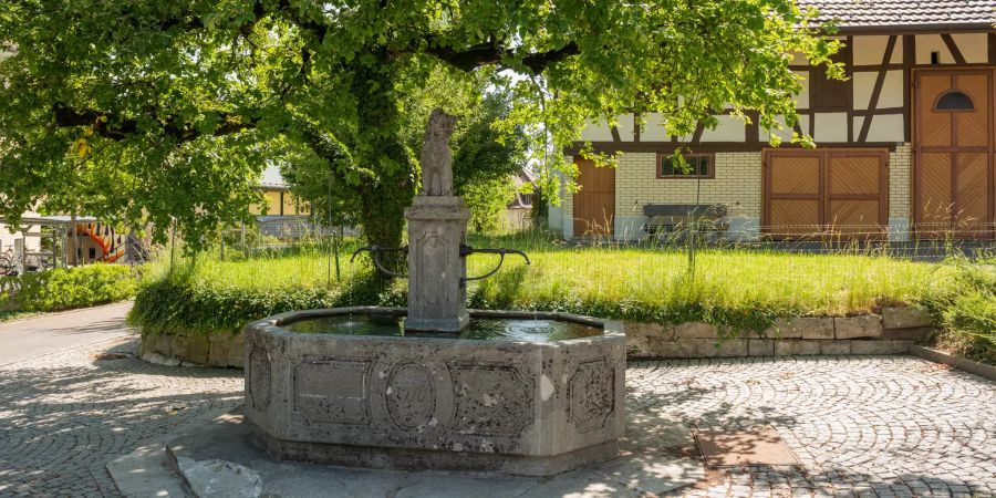 Der Dorfbrunnen der Gemeinde Elgg.