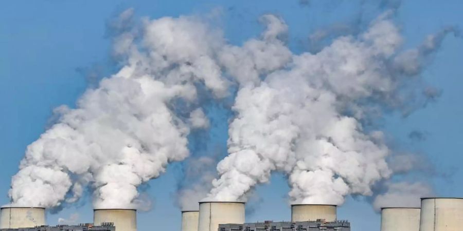 Der Verkauf von CO2-Emissionsrechten hat dem Staat im vergangenen Jahr Einnahmen in Höhe von 12,5 Milliarden Euro beschert. Foto: Patrick Pleul/dpa-Zentralbild/dpa