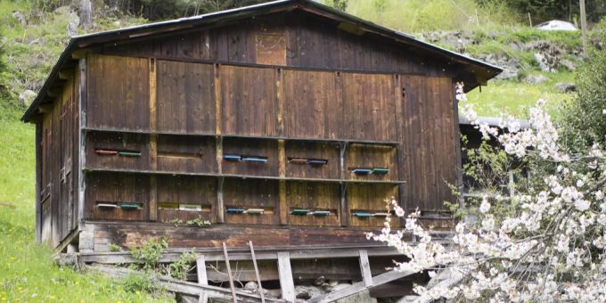 Bienenhaus. Bienenhaus (Symbolbild).