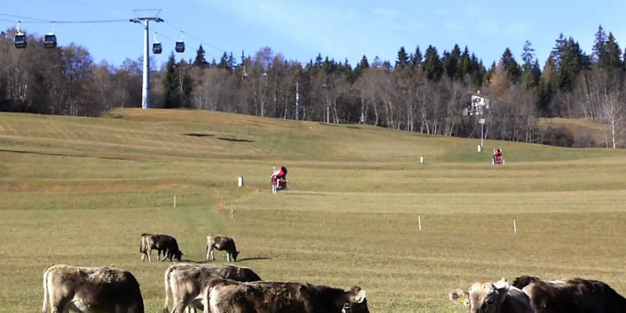 Der aussergewöhnlich warme Dezember sorgt für neue Rekordwerte bei den Tiefsttemperaturen. (Archivbild)