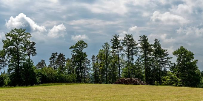 Der Bauer fand nur noch eine leere Wiese. Schafe und Zaun waren weg. Bauern Wiese