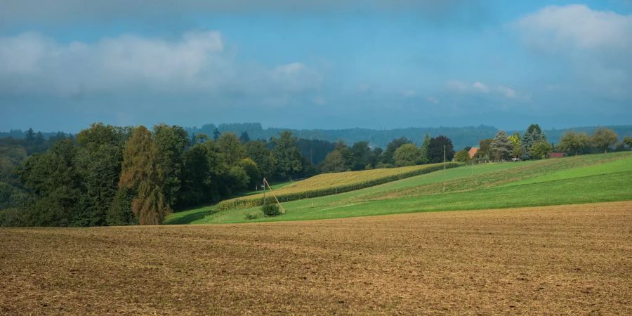 Landwirtschaft in Wiliberg im Kanton Aargau.