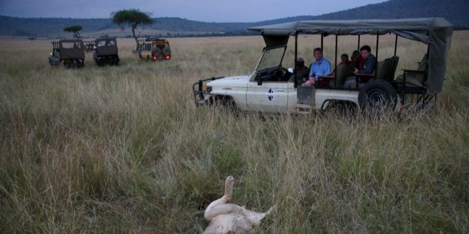 Masai Mara