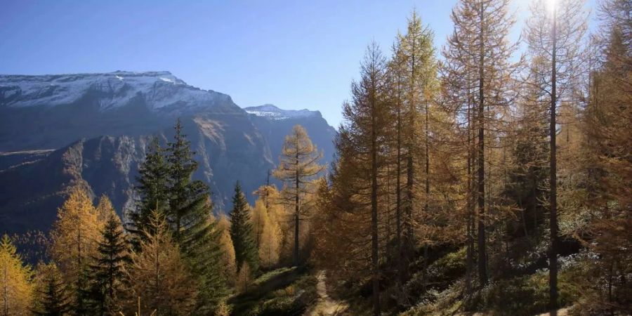 Viele Schweizerinnen und Schweizer verbringen ihre Ferien im Graubünden.