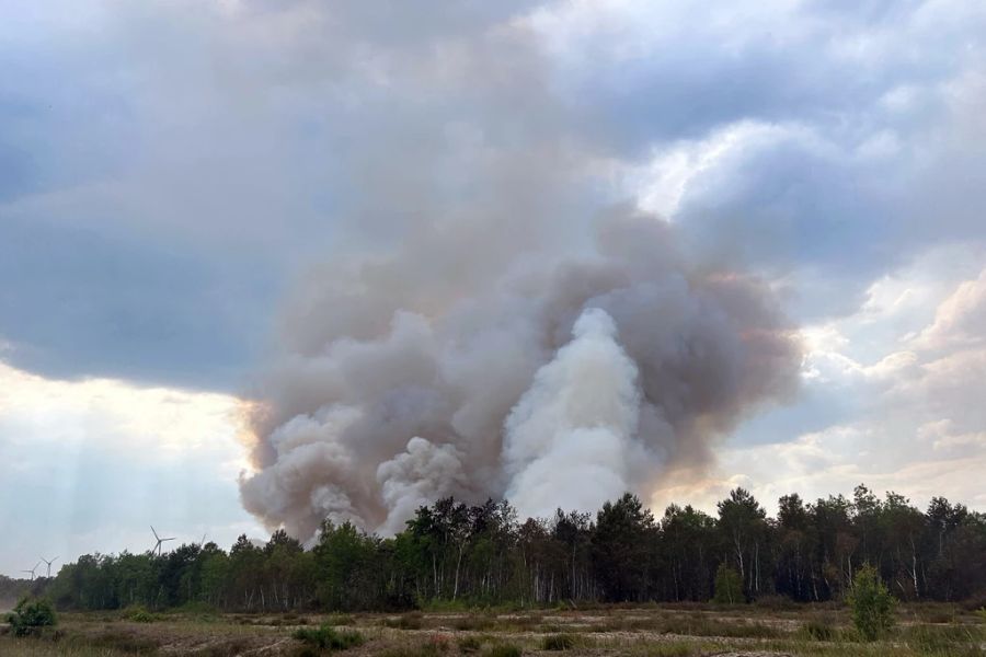 Das Resultat der Trockenheit sieht ist im Wald bei Jüterbog, Brandenburg, zu sehen. Ein ehemaligen Truppenübungsplatz steht seit Ende Mai in Brand.