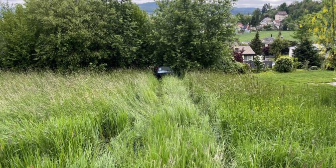 Auto Böschung hinuntergerollt