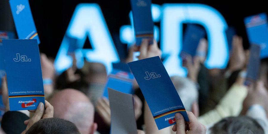 Die AfD arbeitet laut dem Deutschen Institut für Menschenrechte an einer «Gewöhnung an ihre rassistischen national-völkischen Positionen».