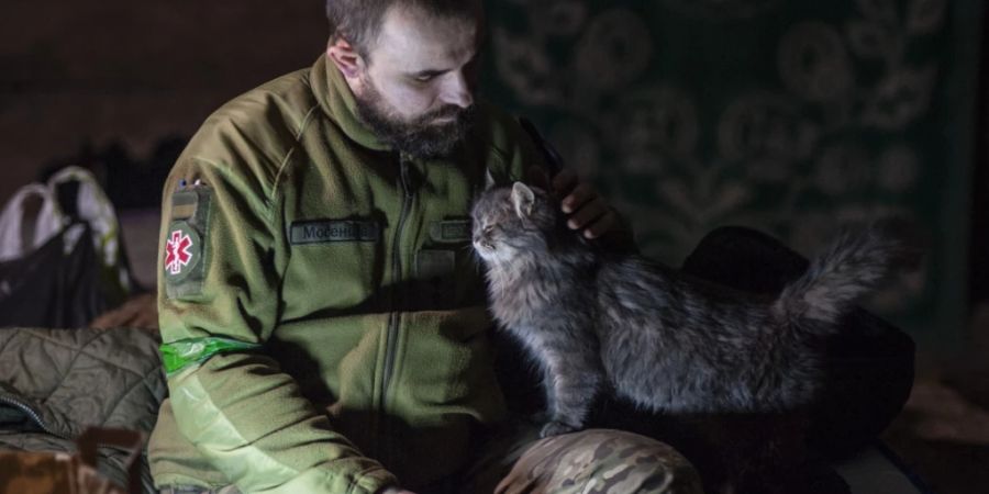 Ein ukrainischer Soldat streichelt in einem Unterstand in der Region Donzek eine Katze. Foto: Iryna Rybakova/Iryna Rybakova/AP/dpa - ACHTUNG: Nur zur redaktionellen Verwendung und nur mit vollständiger Nennung des vorstehenden Credits