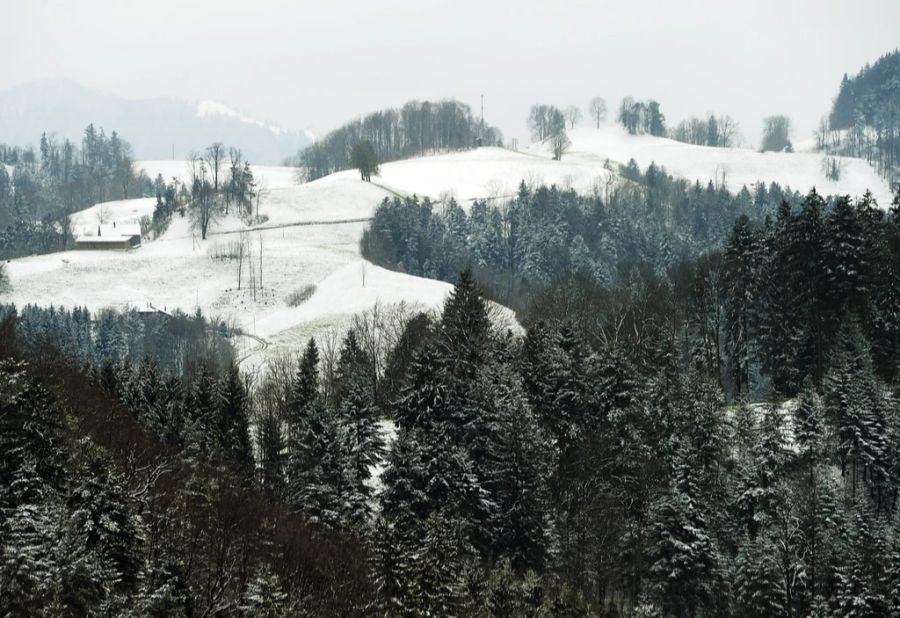 In höheren Lagen können auch einige Zentimeter Neuschnee fallen.