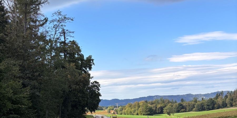 Zollikerberg ZH