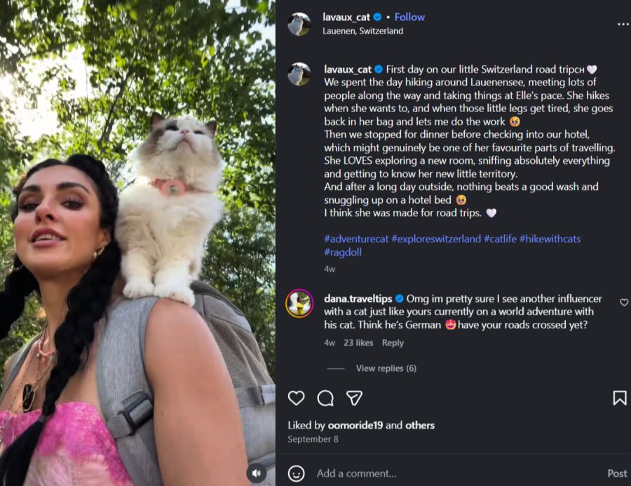 Elle auf der Schulter von Amanda Bühler bei einer Wanderung am Lauenensee BE. Laut Bühler läuft die Katze nur, wenn sie will, und kehrt bei Müdigkeit in den Rucksack zurück.