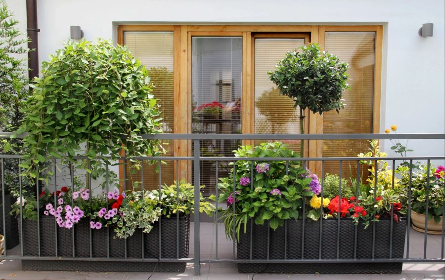 Moderner Balkon mit vielen Pflanzen