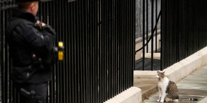 David Cameron war es, der Larry im Februar 2011 aus einem Tierheim in seinen Amtssitz holte. (Archivbild) Larry