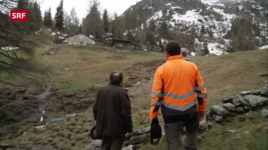 Auf dieser Alp wollen Sieglinde und Alfons ihre Zukunft verbringen.