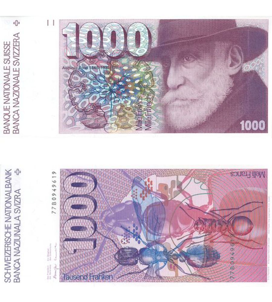 Die 1000er-Note der 6. Serie, im Volksmund "Ameisli" genannt, zeigt den Psychiater, Neurologen und Entomologen (Insektenforscher) Auguste Forel (1848-1931). Auf der Rückseite dann drei Ameisen und der Vertikalschnitt durch einen Ameisenhaufen.