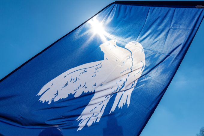 Die Taube gilt als Symbol für Frieden. (Symbolbild) Taube