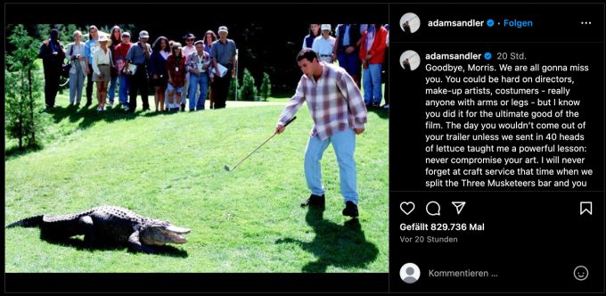 Hollywood trauert um Alligator Morris, der in vielen Filmen und TV-Shows zu sehen war. Hollywood