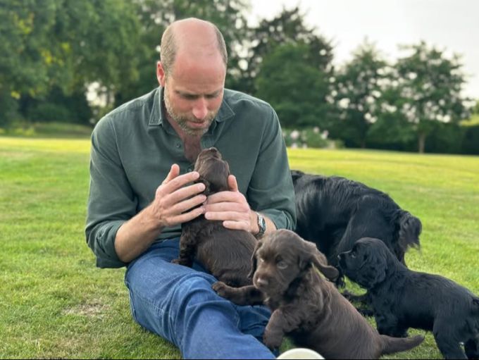 So herzig gratuliert seine Familie Prinz William zum Geburtstag. Prinz William