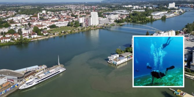 Rhein Basel Wasserpflanzen Taucher