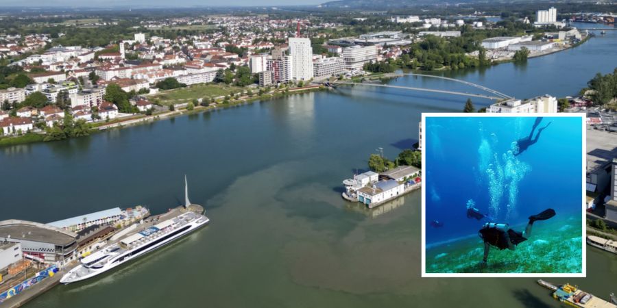 Rhein Basel Wasserpflanzen Taucher