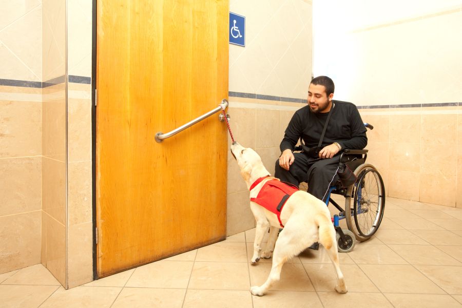 assistenzhund und rollstuhlfahrer