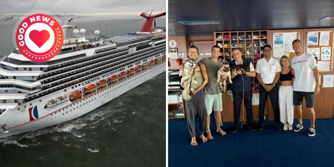 Das Kreuzfahrtschiff Carnival Splendor rettete vier Menschen und ihre drei Hunde aus dem Pazifik. Kreuzfahrtschiff Rettung