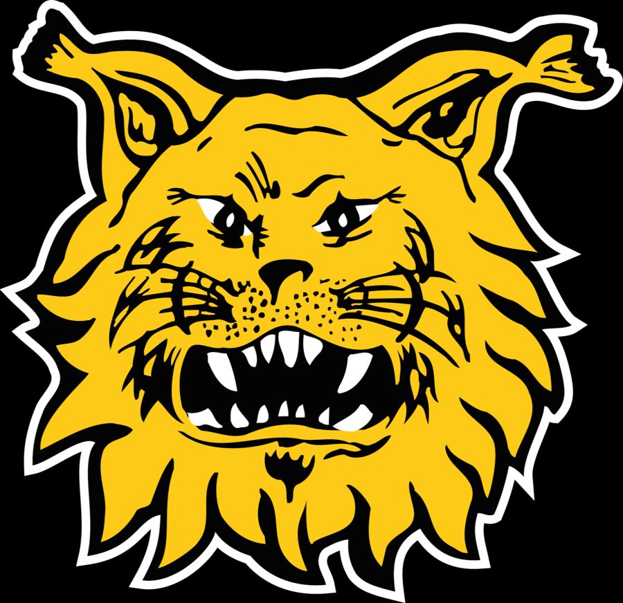 Ilves Tampere Slapshot