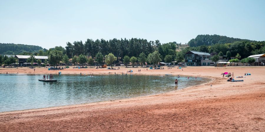 Erneut greift ein Wels einen Schwimmer in der Region an. (Symbolbild)
