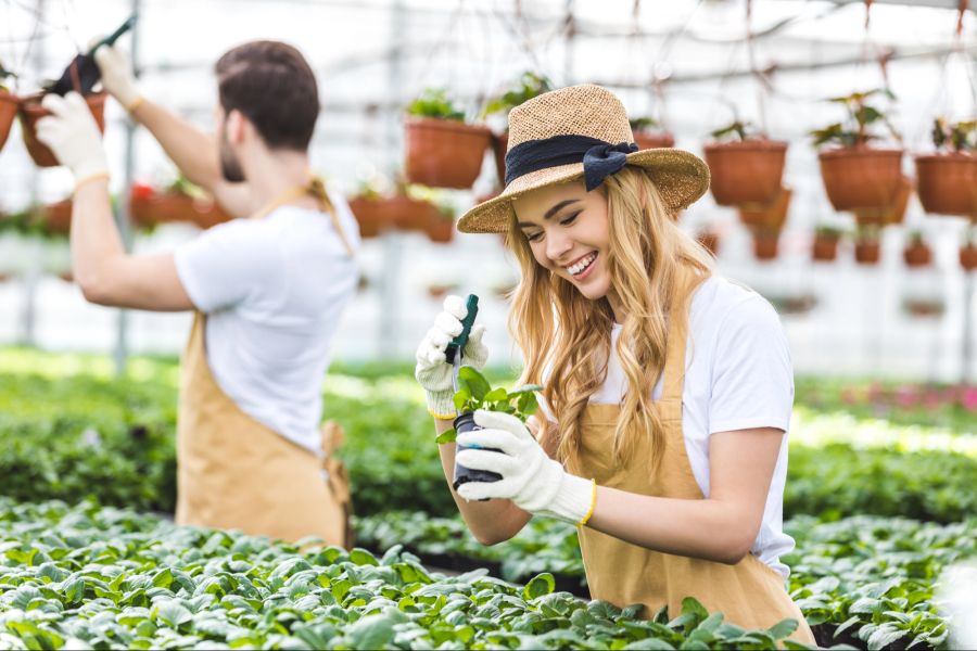 Gardening