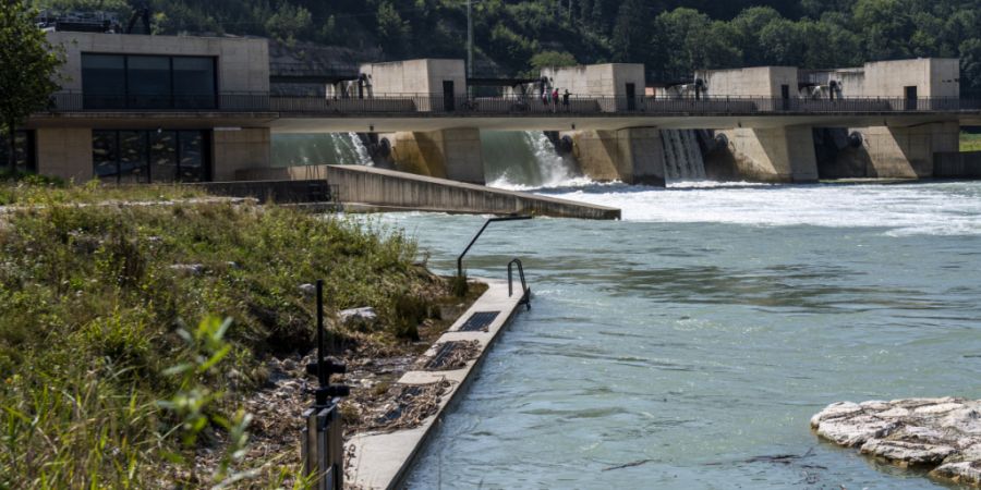 Die Grünen Seeland-Biel haben gegen die kantonale Revision der Naturschutzgebiete in Hagneck und Lüscherz Einsprache eingereicht. (Archivbild)
