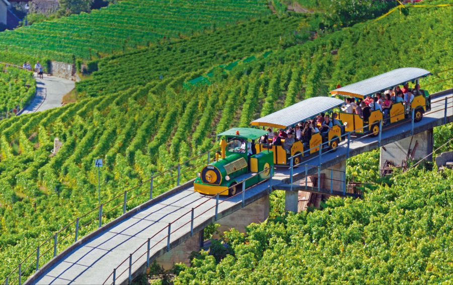Geniessen Sie mit dem Lavaux Express eine genüssliche Fahrt durch die berühmten Weinterrassen von Lavaux.