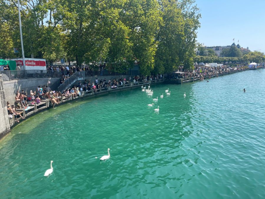 Street Parade