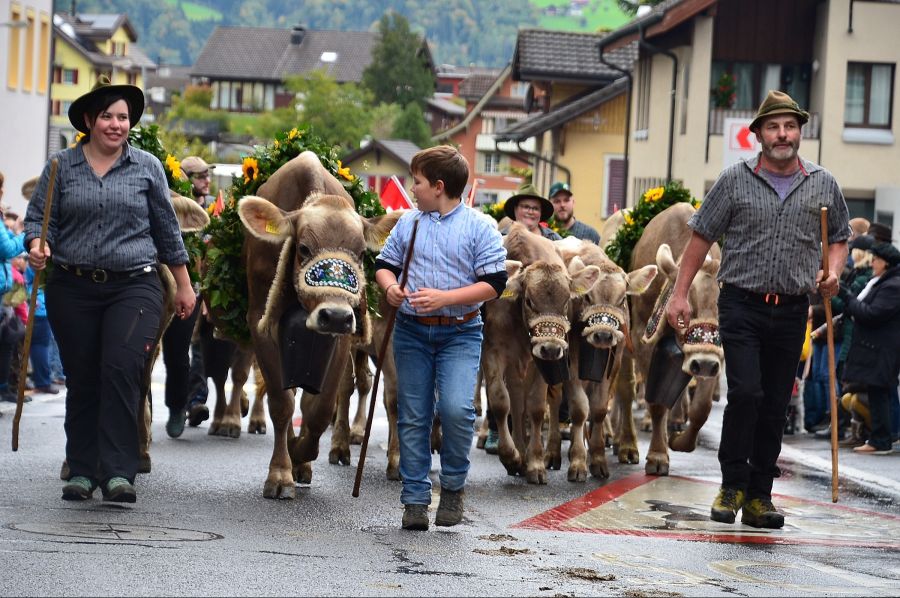 Alpabzug Kerns Tourismus