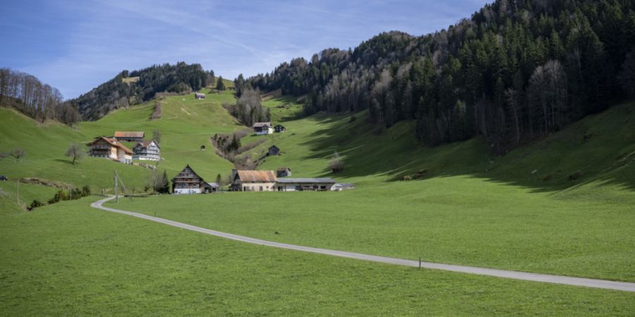 Die Nutzungsplanung für die im Gebiet Altstatt in Sattel SZ geplante Deponie geht in die zweite Auflage. (Archivaufnahme)