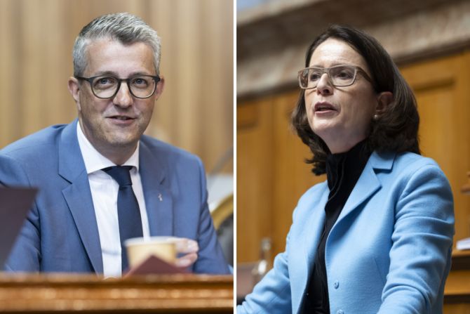 fdp co-präsidium