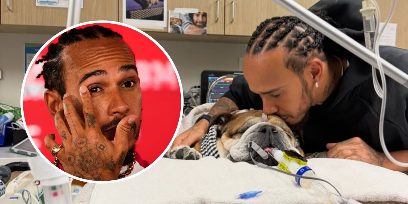 Lewis Hamilton trauert um geliebten Hund Roscoe | Nau.ch