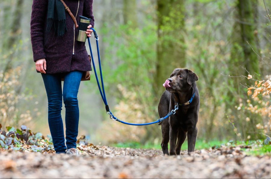 Das Labor identifiziert den Hund und damit dessen Halterin oder Halter.