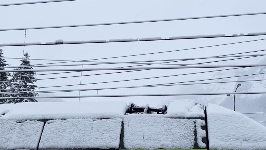 Der Stromabnehmer ist wieder frei und kann hochgefahren werden.