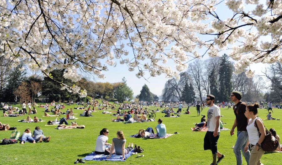 Am Wochenende gibt es in der Schweiz einen Blitzsommer.